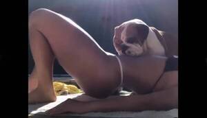 Crónica / [VIDEO] El firulais de famosa modelo se pasa de "pasteloso"