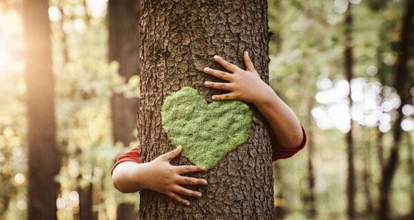 28 DE JUNIO: DÍA MUNDIAL DEL ÁRBOL - La Voz del Norte