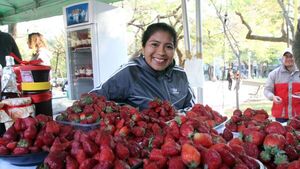 Harán delivery de frutilla en Asunción