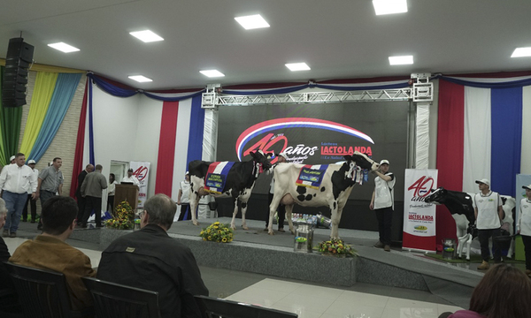 Paraguay será la sede del 5º Encuentro Panamericano de Jóvenes Lecheros - OviedoPress