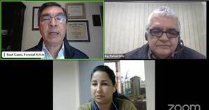La Nación / Señalan que rentabilidad del sector forestal es comparable con ingresos de la ganadería