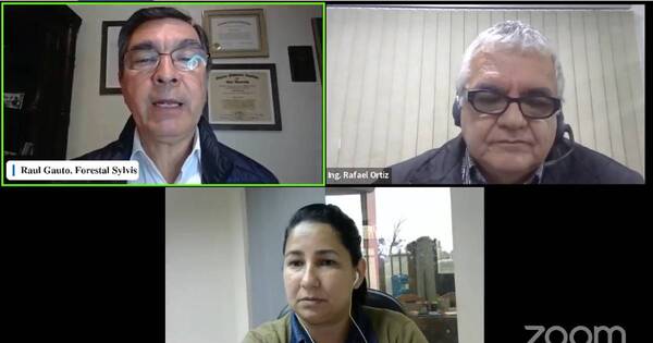La Nación / Señalan que rentabilidad del sector forestal es comparable con ingresos de la ganadería