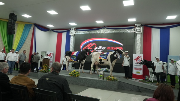 Encuentro de jóvenes lecheros se realizará por primera vez en Paraguay - La Clave