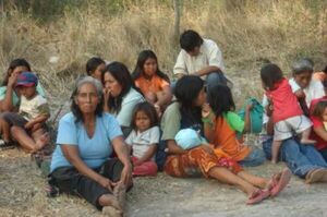Aseguran que indígenas que ocupan predio de Itakyry son manipulados por senador y ONG’s | 1000 Noticias