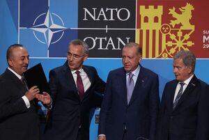 OTAN gana a dos aliados del vecindario de Rusia tras luz verde de Ankara - Mundo - ABC Color