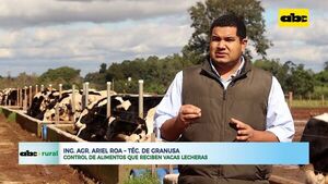 Control de alimentos que reciben vacas lecheras - ABC Rural - ABC Color