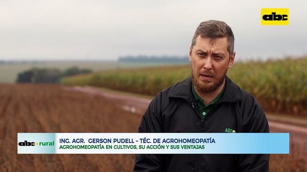 Agrohomeopatia en cultivos, su acción y sus ventajas - ABC Rural - ABC Color