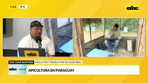 Actualidad de la apicultura y posibilidades - ABC Rural - ABC Color