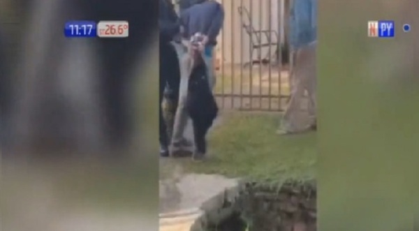 Pitbull atacó a supuesto asaltante en Luque - Paraguaype.com