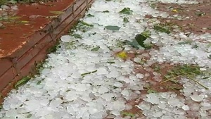 Intensa tormenta con granizada destruye plantaciones en Los Cedrales - Paraguaype.com