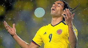 Mundial 2014: El Tigre Falcao se ha lesionado y su participacion esta en duda - Paraguaype.com