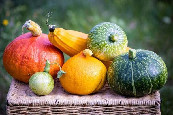 Alimentos efectivos para nutrirnos y cuidarnos en este invierno - Estilo de vida - ABC Color