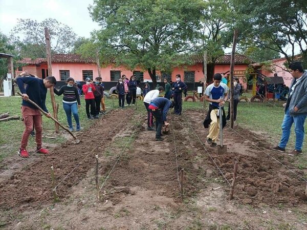 Gobernación Departamental impulsa producción de huertas escolares
