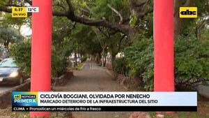 Ojo ciudadano: Ciclovía Boggiani, olvidada por Nenecho. - ABC Noticias - ABC Color