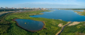 Ambientalistas advierten delito ecológico en Costanera - El Independiente