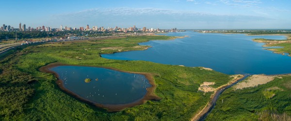 Ambientalistas advierten delito ecológico en Costanera - El Independiente