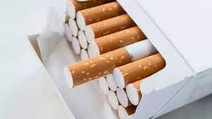 Comisión emite dictámenes a favor y en contra de protocolo de eliminación de productos de tabaco