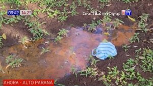 Detectan metales pesados en Lago de la República | Noticias Paraguay