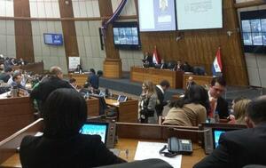 Cámara de Diputados vuelve a sesiones virtuales en plena campaña por internas – Prensa 5