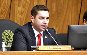 Alliana dirigió este miércoles su última sesión como presidente de Diputados