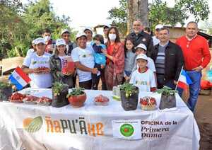 Centro del programa Ñapu’ãke en Areguá inició cosecha de frutilla
