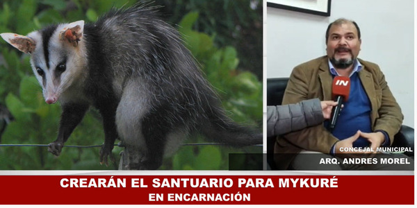 CREARÁN EL “SANTUARIO PARA MYKURÉ” EN ENCARNACIÓN