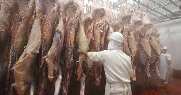 La Nación / Industria debe ofrecer precios convenientes para acompañar potencia en la ganadería paraguaya