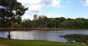La Nación / Contaminación del Lago de la República de CDE: detectan presencia de tres metales pesados