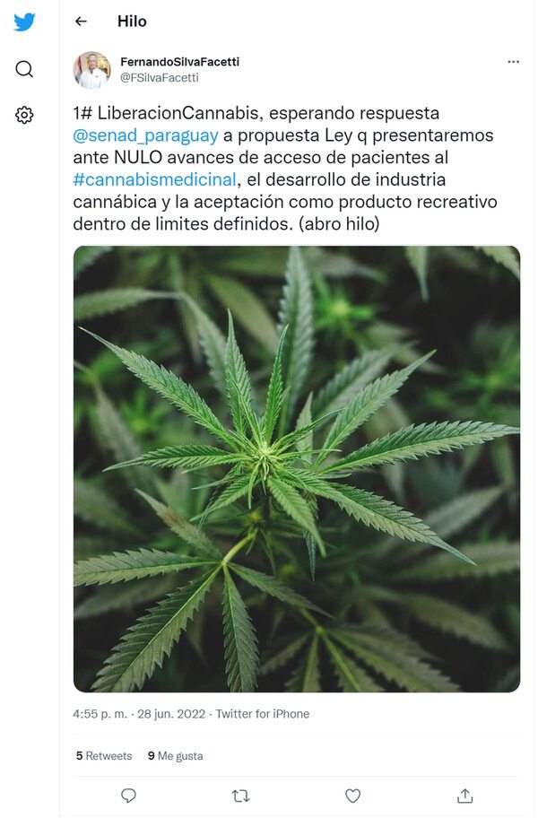 Silva Facetti propone despenalizar consumo del cannabis, pero con límites - Nacionales - ABC Color
