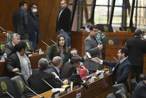 Sancionarán ley que extiende el plazo para el pago diferido de aporte al IPS - Política - ABC Color