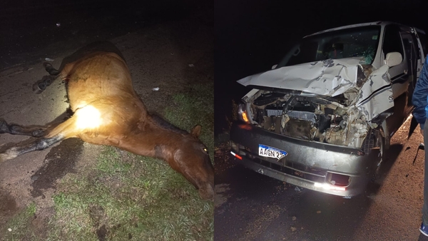 Vehículo impactó contra un caballo sobre la Ruta PY08
