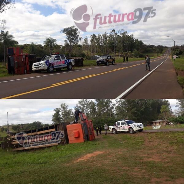 Transganado volcó con 58 animales