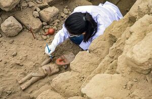 Perú halla escultura de madera intacta en ciudadela prehispánica - Ciencia - ABC Color