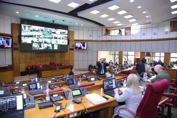Senado posterga reforma de la Policía Nacional hasta el 28 de julio - Política - ABC Color