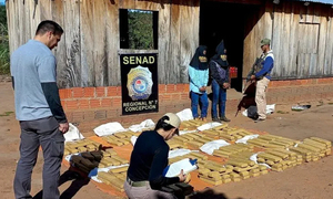 Capturan a dos hombres con más de 261 kilos de marihuana en Yby Yaú - OviedoPress