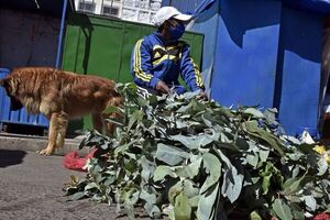 Bolivia decide mantener uso de mascarillas ante aumento de contagios de covid - Mundo - ABC Color
