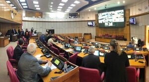 Senado no reúne votos para tratar pedido de juramento de la esposa de Payo Cubas