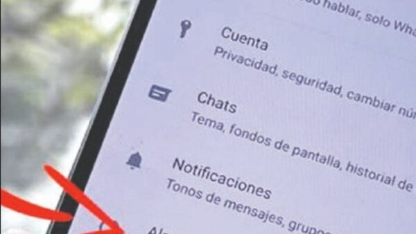 Trucos del WhatsApp: podés ver con quién chatea más tu chuli