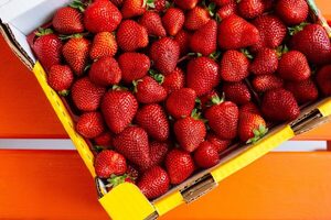 Cosecha tu propia frutilla en la expo de Areguá | Turismo | 5Días