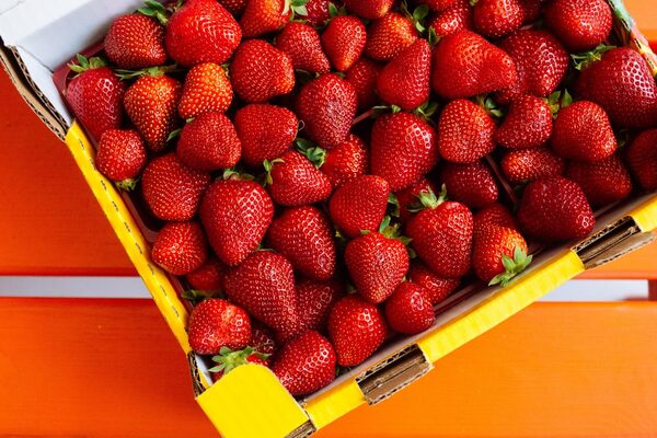 Cosecha tu propia frutilla en la expo de Areguá | Turismo | 5Días