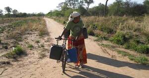 La Nación / Piden declarar emergencia por sequía en varias comunidades indígenas del Chaco
