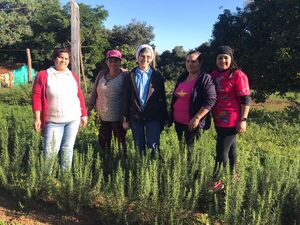 Laboriosas mujeres del Bº Los Arrabales se dedican a la siembre y el cuidado de hierbas medicinales