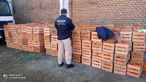 Incautan gran cargamento de productos de presunto contrabando | 1000 Noticias