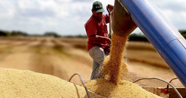 La Nación / Paraguay exportó menos volúmenes de soja y derivados