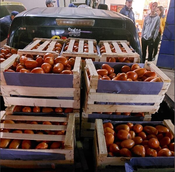 Incautan 20 mil kilos de tomates de contrabando - Nacionales - ABC Color