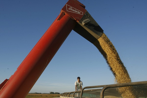 El ingreso de Argentina por la exportación del agro creció 15 % en el primer semestre - MarketData