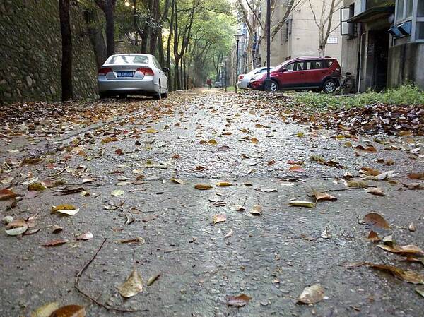 Crónica / Meteorología avisa que ou hína un viento norte peor que Palmeiras ante Cerro