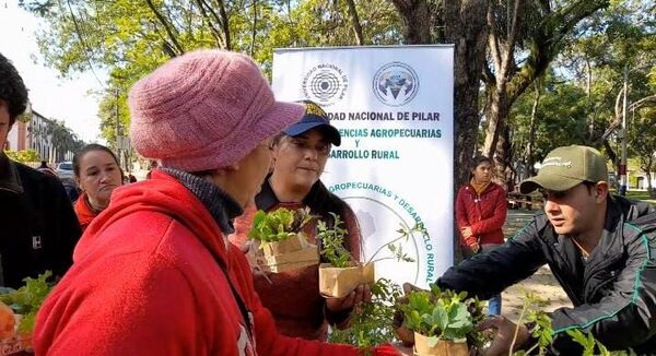 Alumnos de la UNP entregan plantines de hortalizas para “soberanía alimentaria” - Nacionales - ABC Color