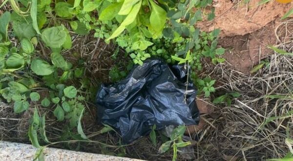 Hallaron el arma que aparentemente fue utilizada en el crimen de Aylén