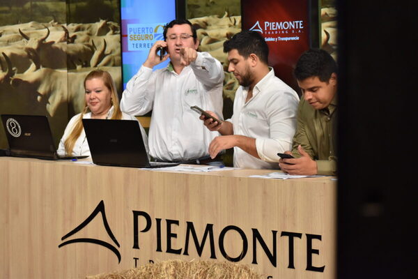 Piemonte Trading remata 500 vacunos de invernada, el sábado